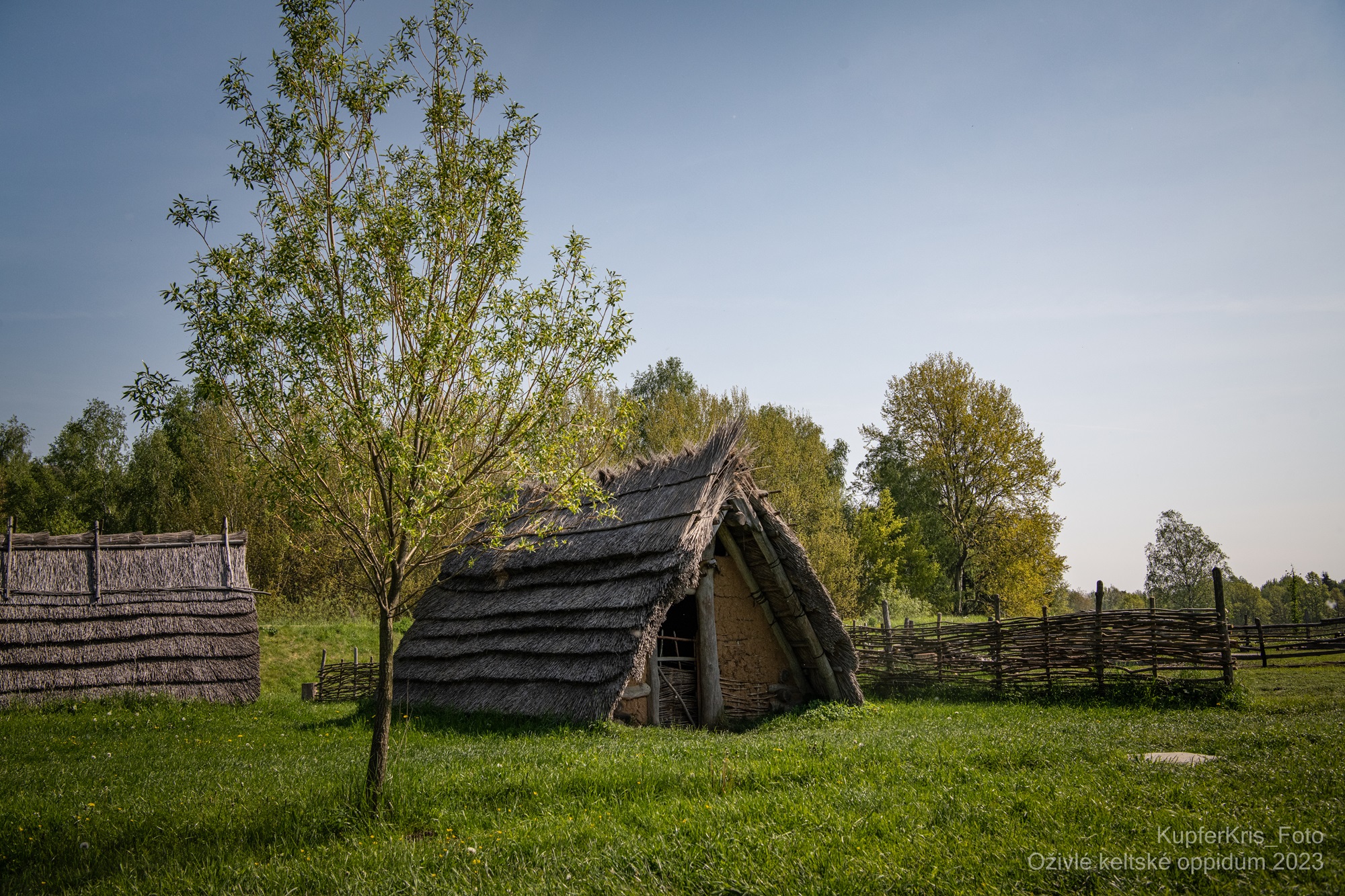 Bone and Antler Workshop