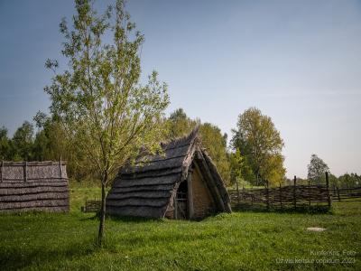 Bone and Antler Workshop
